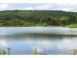 Property photo 69 - REAL ESTATE AUCTION - 1,000+/- ACRES OFFERED IN 10 TRACTS IN PITTSBURG CO., OKLAHOMA